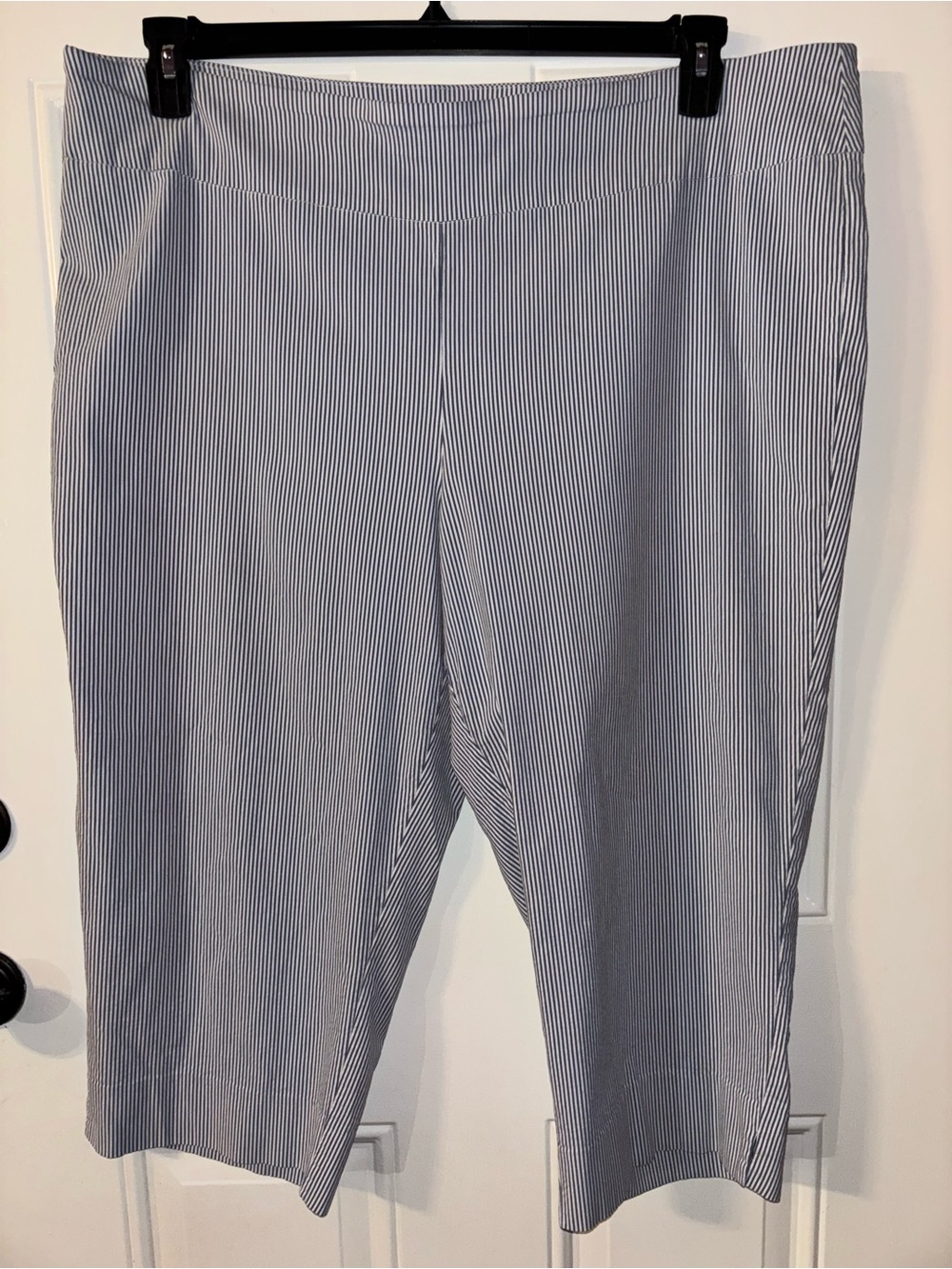 Zac & Rachel Women's Pinstripe Capri Pants in Navy and White